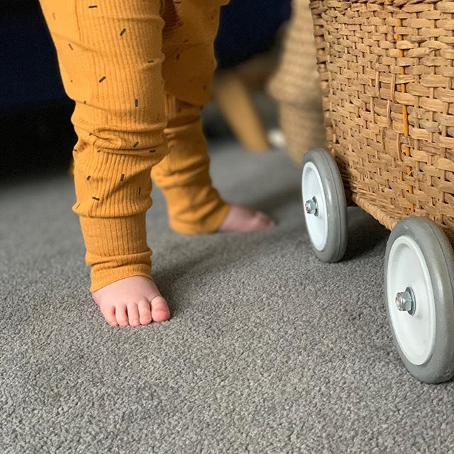 Enjoying standing and will walk when she wants to.